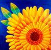 Marigold for Melissa