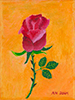 Bobbette's Rose for a Rose