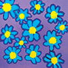 Chrysanthemums For Conor