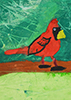 Middleton's Cardinal
