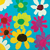 Wildflowers for Eileen